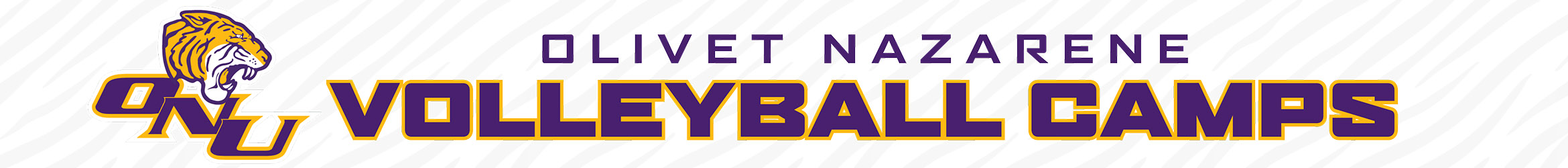 ONU Volleyball Camps